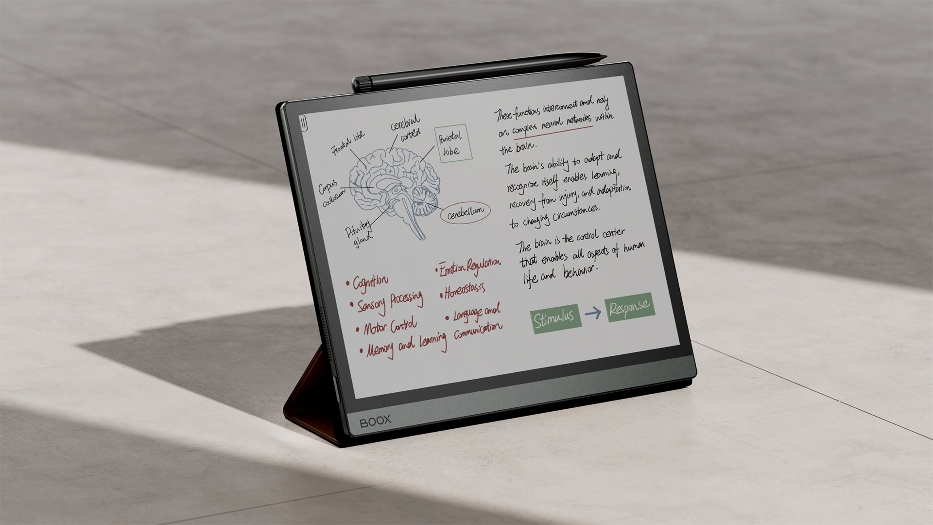 Read and Absorb Difficult Non-fiction with ePaper Tablets