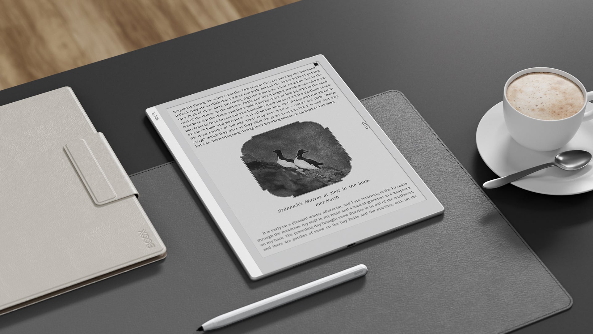 BOOX Go 10.3: A Perfect Blend of Minimalism, Flexibility, and High-Performance for Businesses